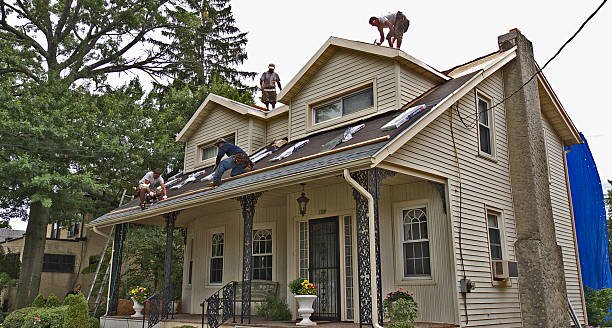 Best Roof Gutter Cleaning  in New Lebanon, OH