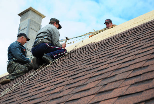 Best Gutter Installation and Roofing  in New Lebanon, OH